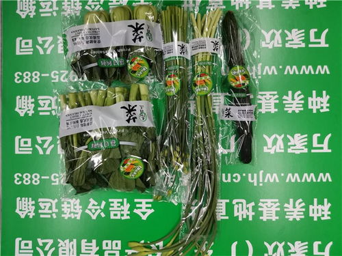 海珠農副產品公司發布萬家歡谷物最新報價，助力市場供需平衡