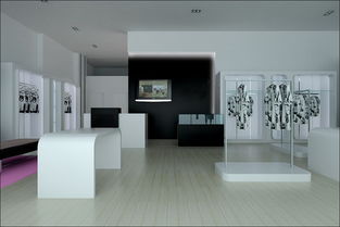 小蜥蝪 探索自然奇趣——商品展示設(shè)計(jì)與展覽策劃的創(chuàng)新融合